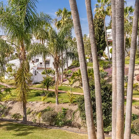 Palmas 4b Oasis