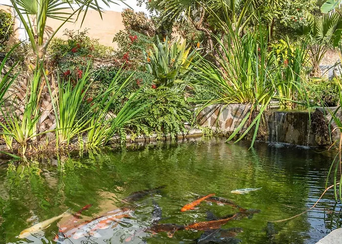 Apartamento Palmas 4b Oasis