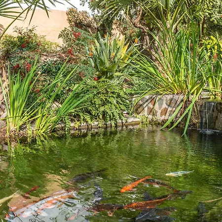 דירה Palmas 4b Oasis