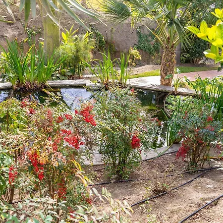 Palmas 4b Oasis דירה *