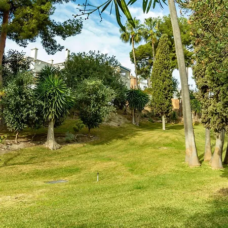 Palmas 4b Oasis