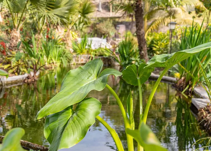 Apartament Palmas 4b Oasis *