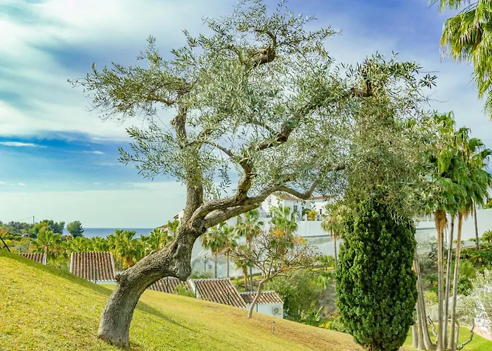 Apartament Palmas 4b Oasis *