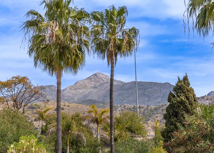 Palmas 4b Oasis * Nerja